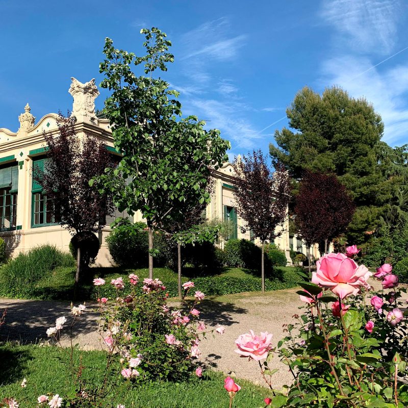 Escola Ribas